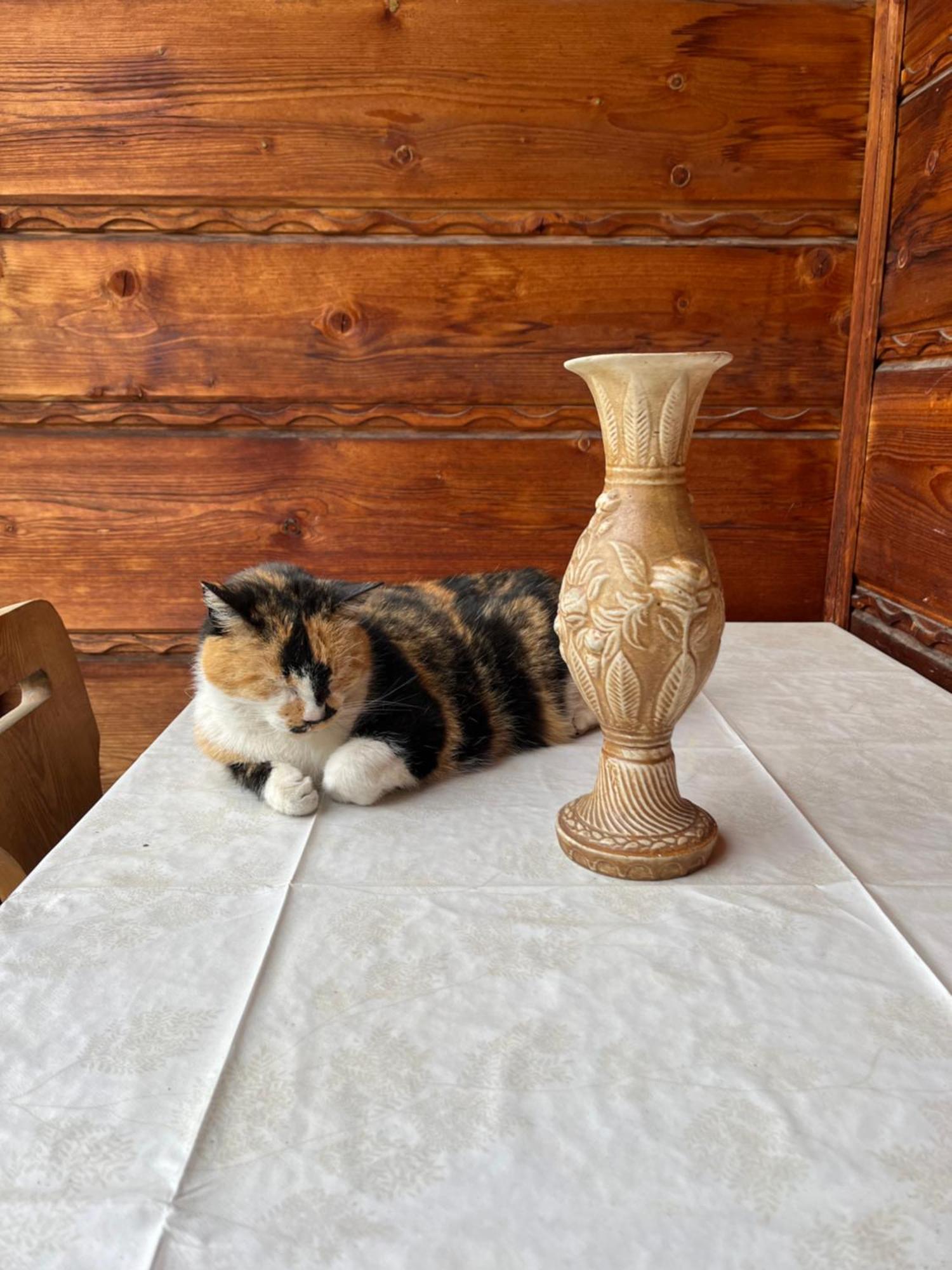 Willa Slotwinka Krynica Zdroj Εξωτερικό φωτογραφία